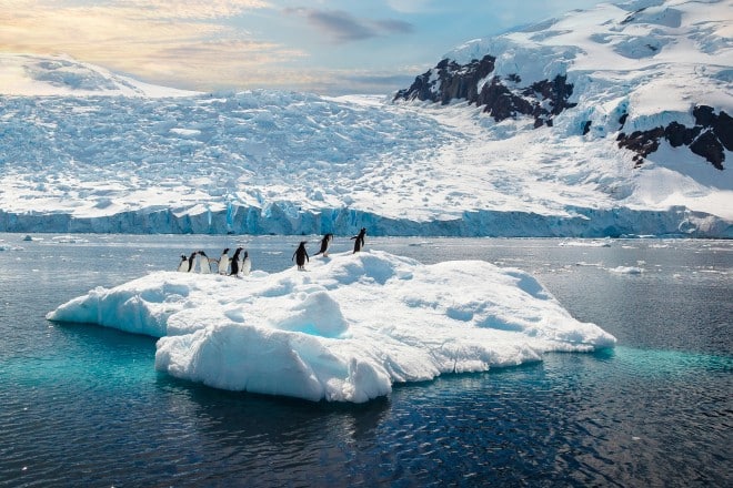 Group of penguins walking on a floating piece of ice in Antarctica.