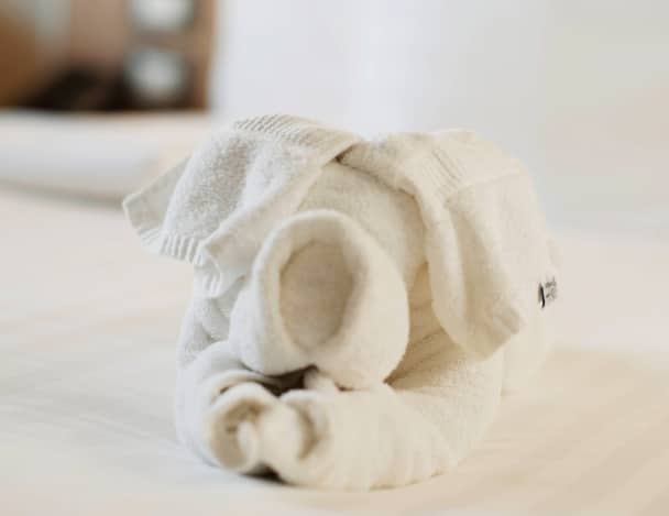 Towel animal.