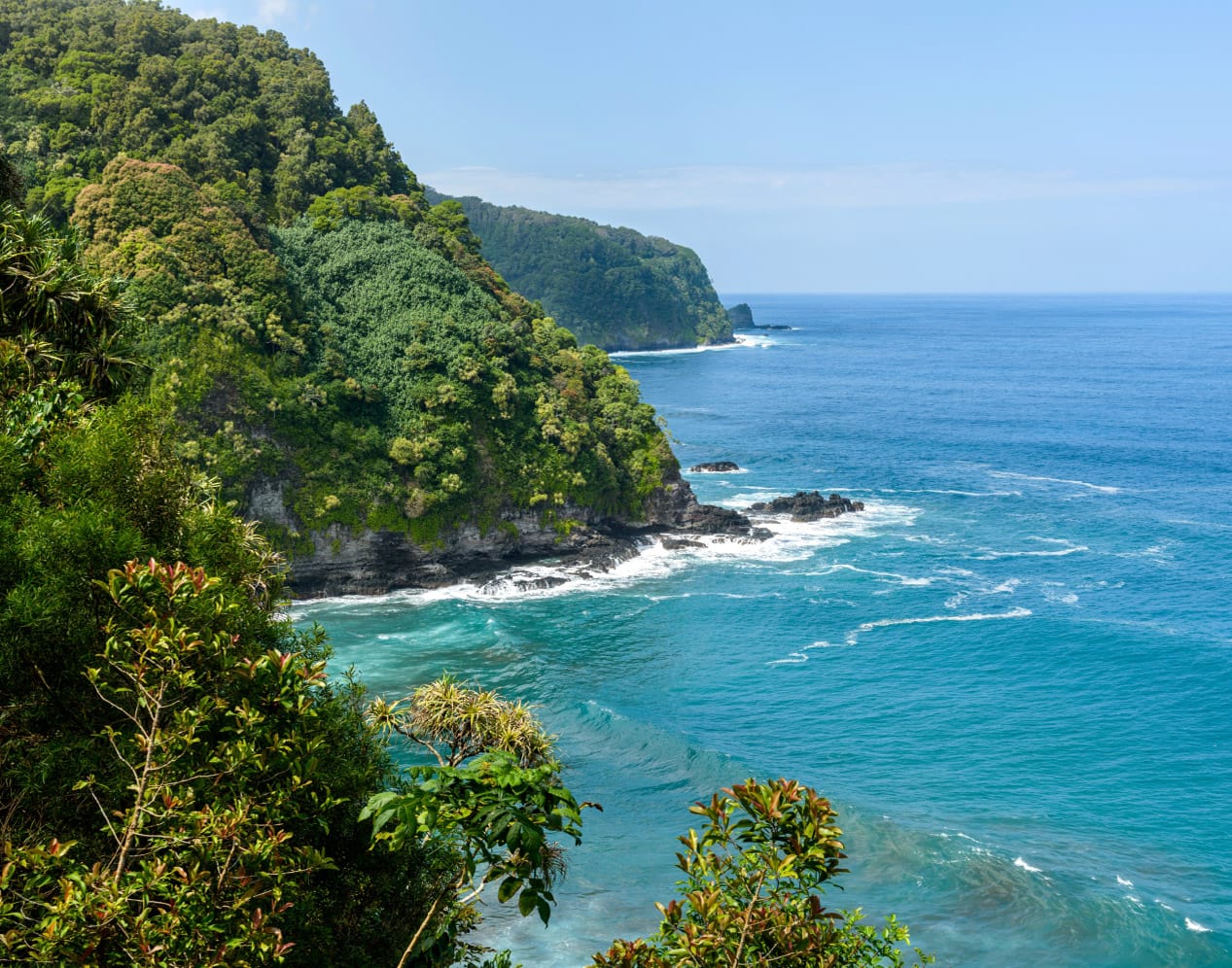 view overlooking jungle-covered cliffs along the Hawaiian coast 