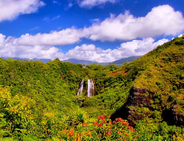 View of a scenic waterfall surrounded by lush jungle near Hilo, Hawaii