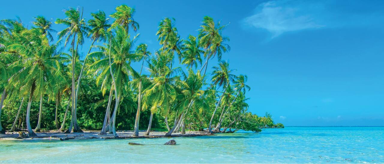 Tropical beach in Polynesia.