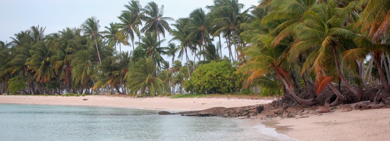 A view of the beach and palm trees in the Marshall Islands.