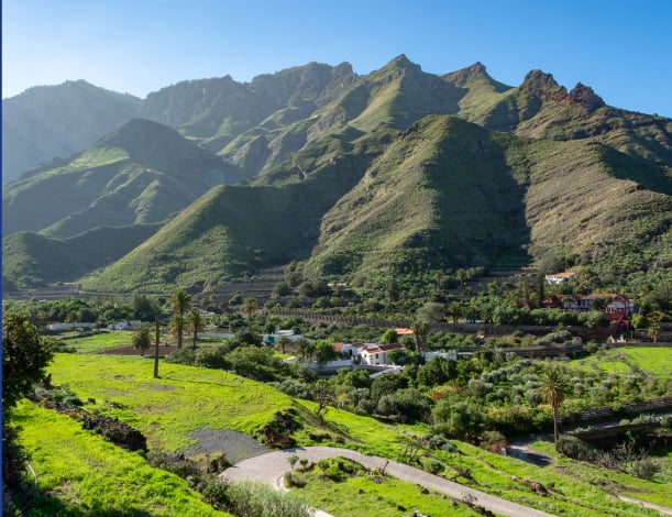 Wine vineyard near Las Palmas in the Canary Islands.