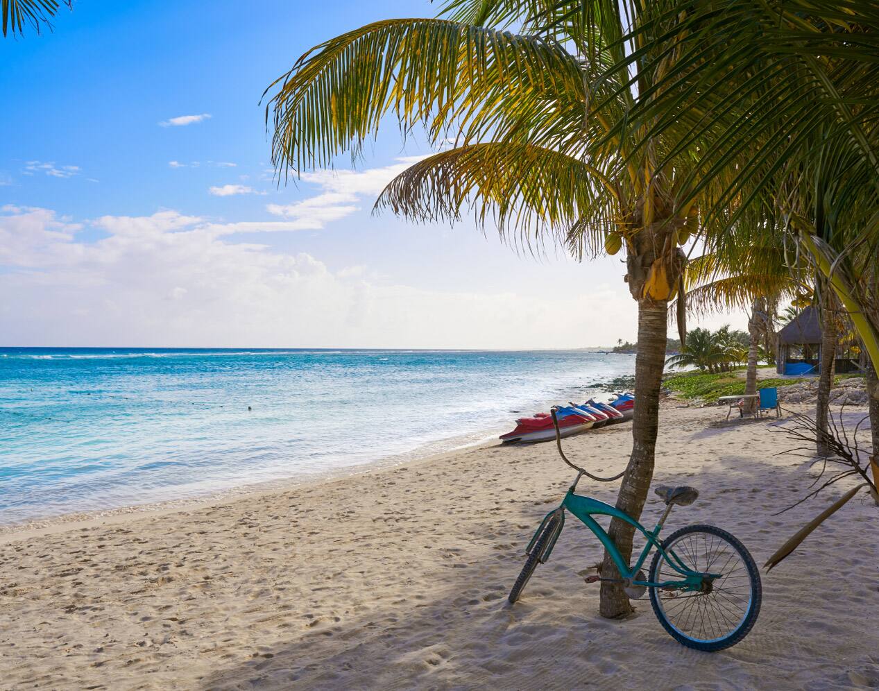 A bicycle rests against a palm tree on a sandy Loreto beach
