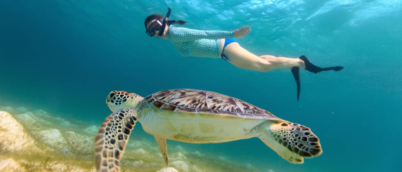 A woman swimming underwater alongside a sea turtle