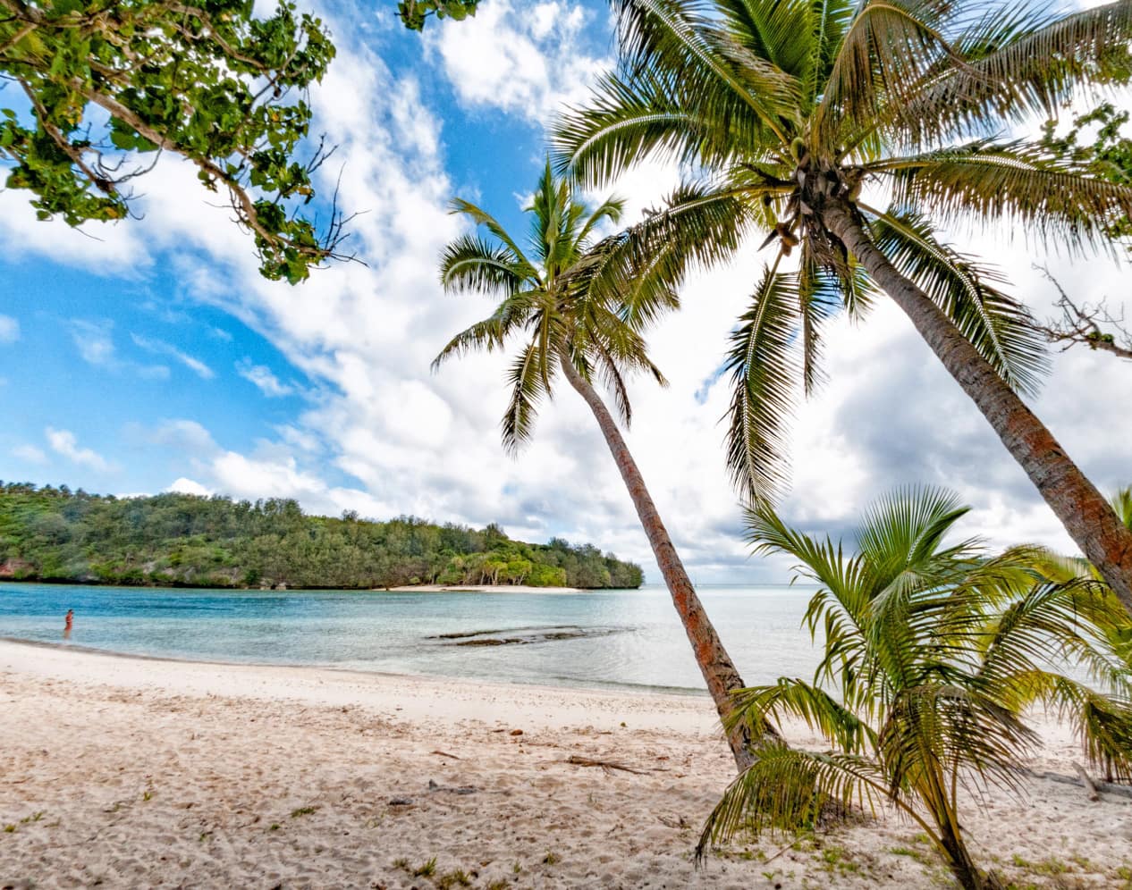 c140-tonga-2-serene-beach.jpeg