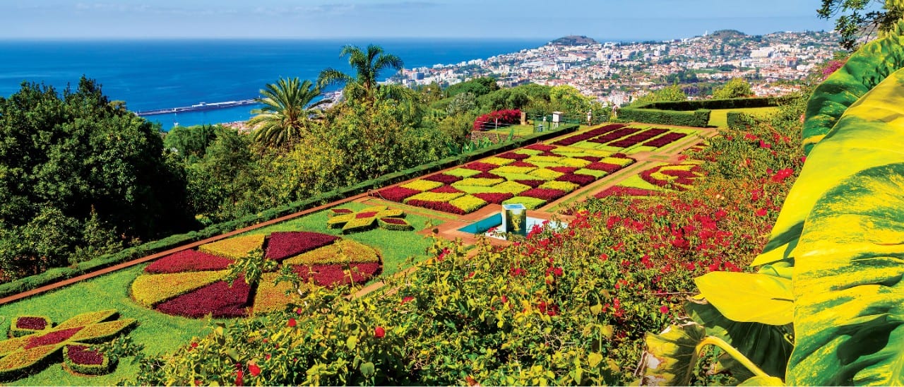 Lush gardens in Madiera, Portugal.