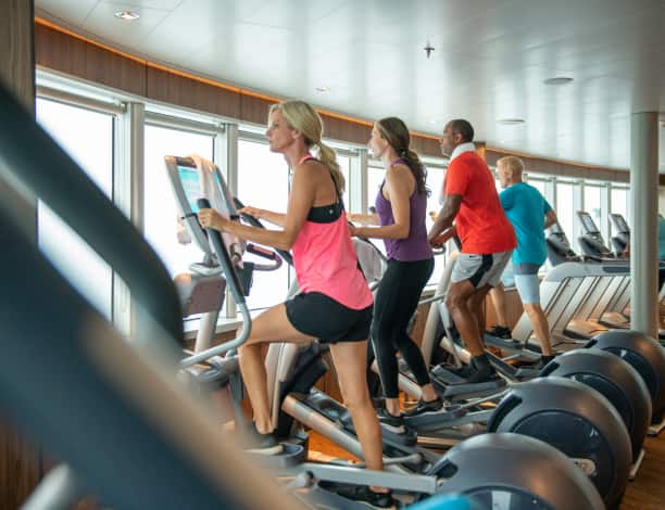People working out on the elliptical equipment while looking out the window in the gym.