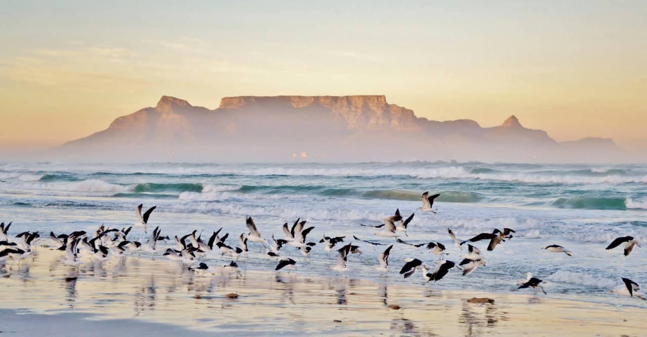 Glorious morning